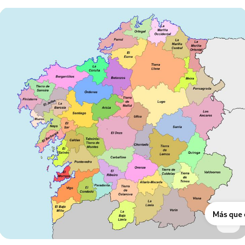 Descripción de la foto 10