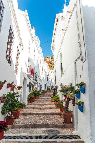 Descripción de la foto 4