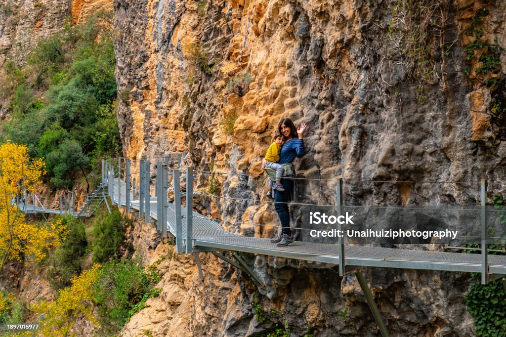 Descripción de la foto 6